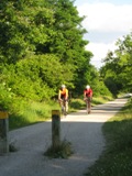 Cyclists north of Tienken